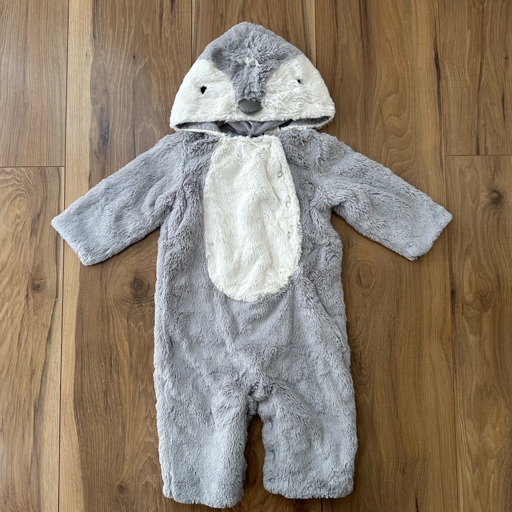 Pottery barn kids penguin costume